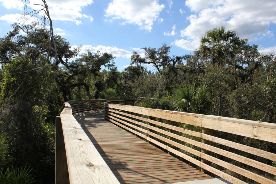 Myakkahatchee_Creek_Greenway_Nature Trail_101823 (4)