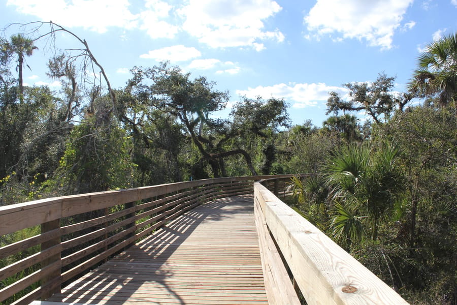 Myakkahatchee_Creek_Greenway_Nature Trail_101823 (1)
