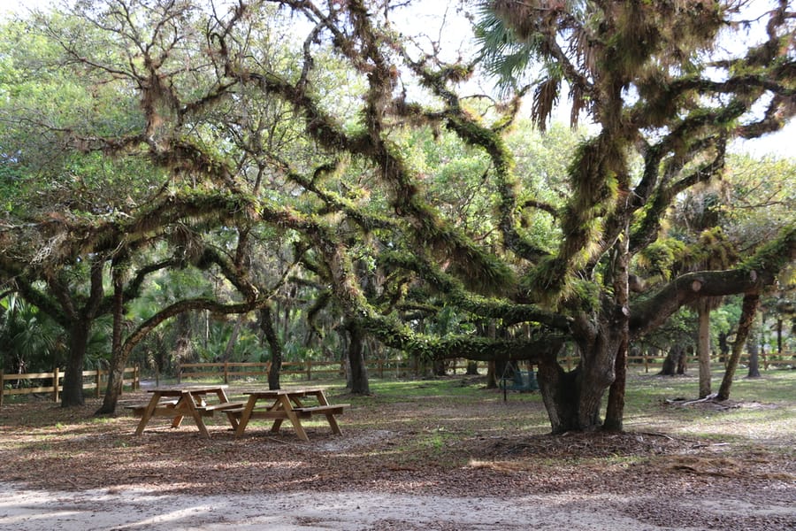 OaksPark (6)