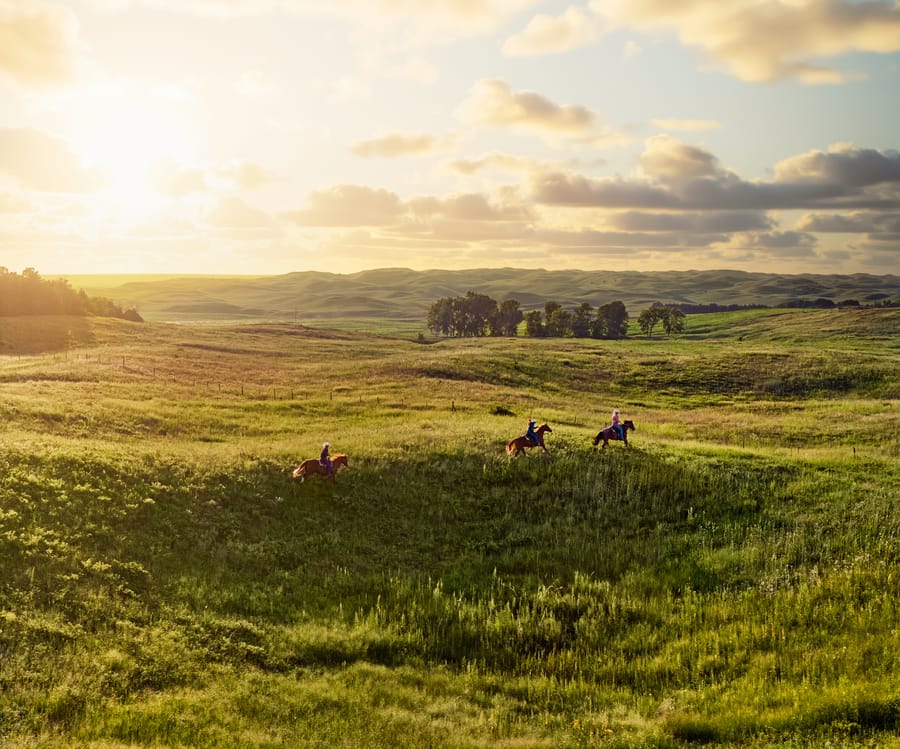 Calamus Outfitters_Horses in Grassland at Sunset_Clay Cook Shoot 2024