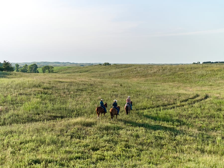 Calamus Outfitters_Horses in Grassland_Clay Cook Shoot 2024