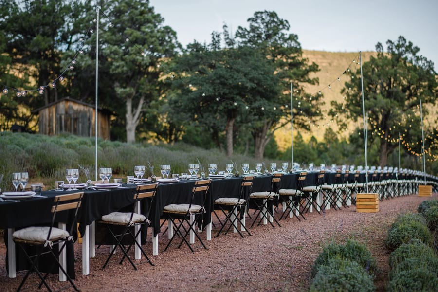 Pine - Cloth & Flame Event Lavender Farm_courtesy of Arizona Office of Tourism_10-21 (4)