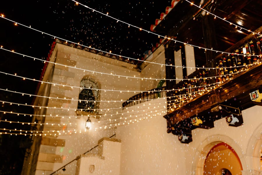 RodriguezWedding_0017