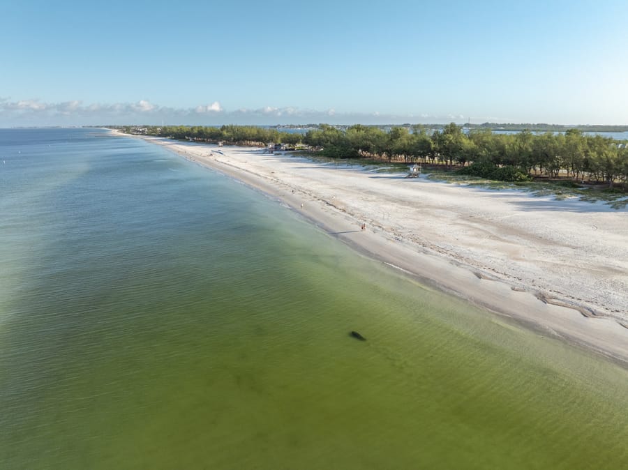 cvb-coquina-cortez-beaches-092224-23