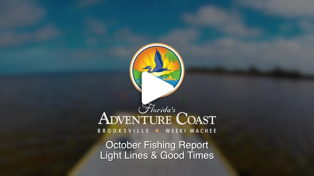 Fishing Report Oct_2024