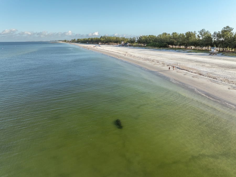 cvb-coquina-cortez-beaches-092224-24