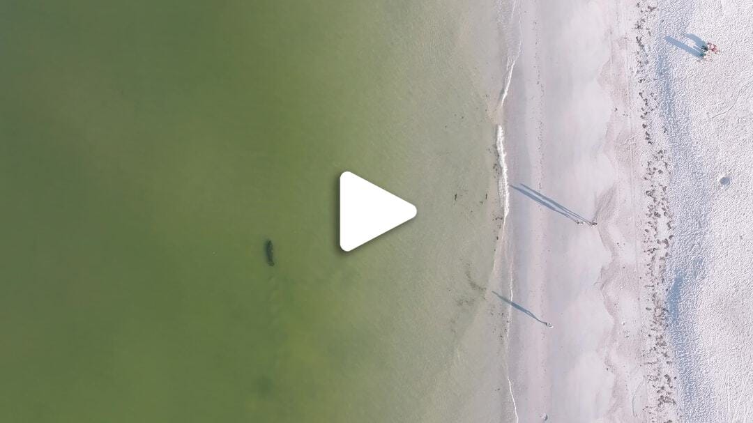 cvb-coquina-manatee-092224