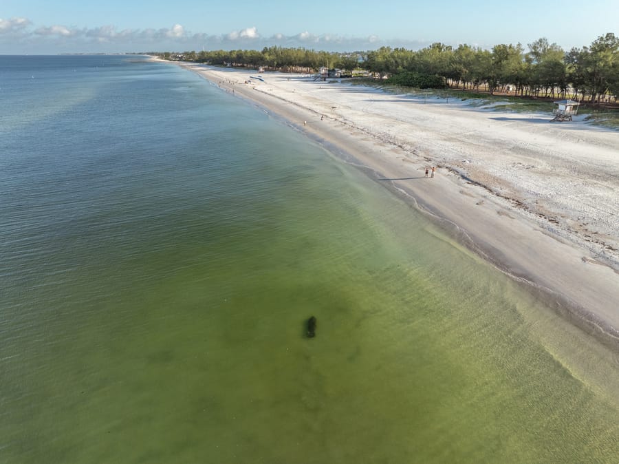 cvb-coquina-cortez-beaches-092224-25