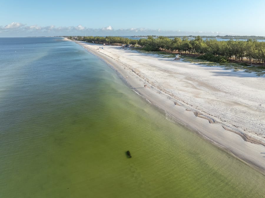 cvb-coquina-cortez-beaches-092224-22
