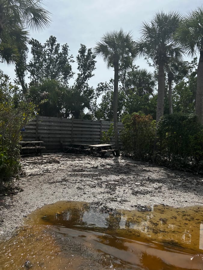 Turtle Beach - Hurricane Helene
