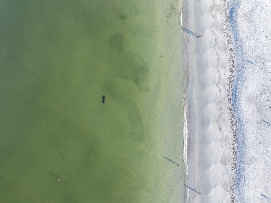 cvb-coquina-cortez-beaches-092224-19