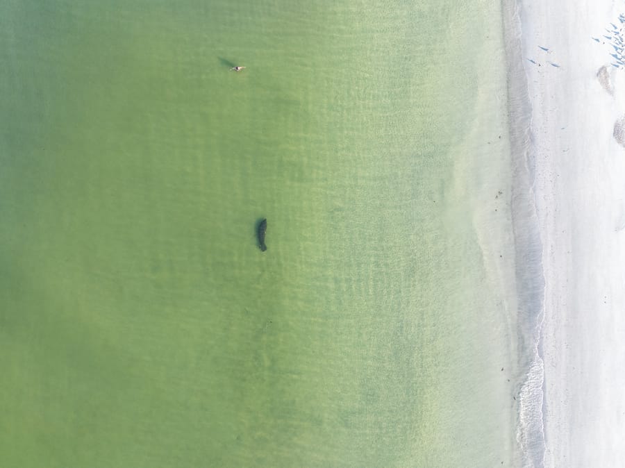cvb-coquina-cortez-beaches-092224-21