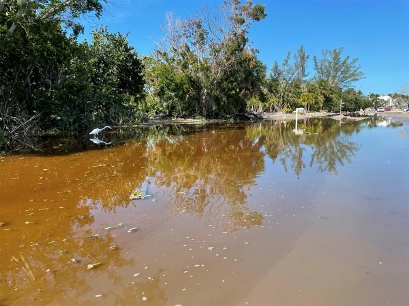 56e2df65-4369-46fd-974b-9f74f2af7bce