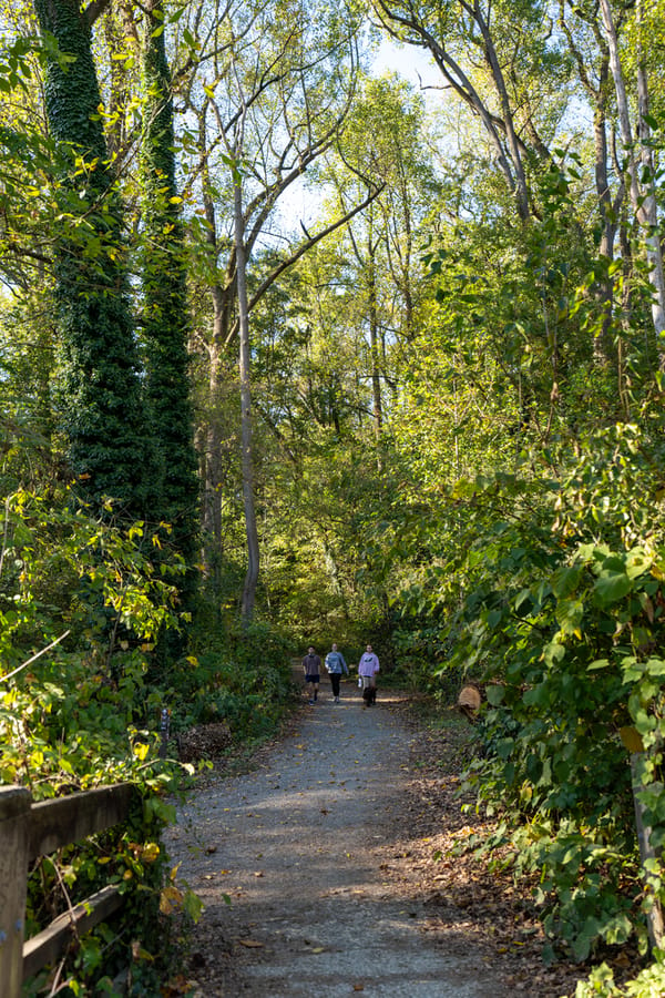 Wissahickon Valley Park