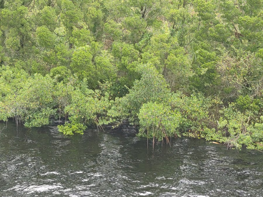 Tarpon Point 1400 (1)