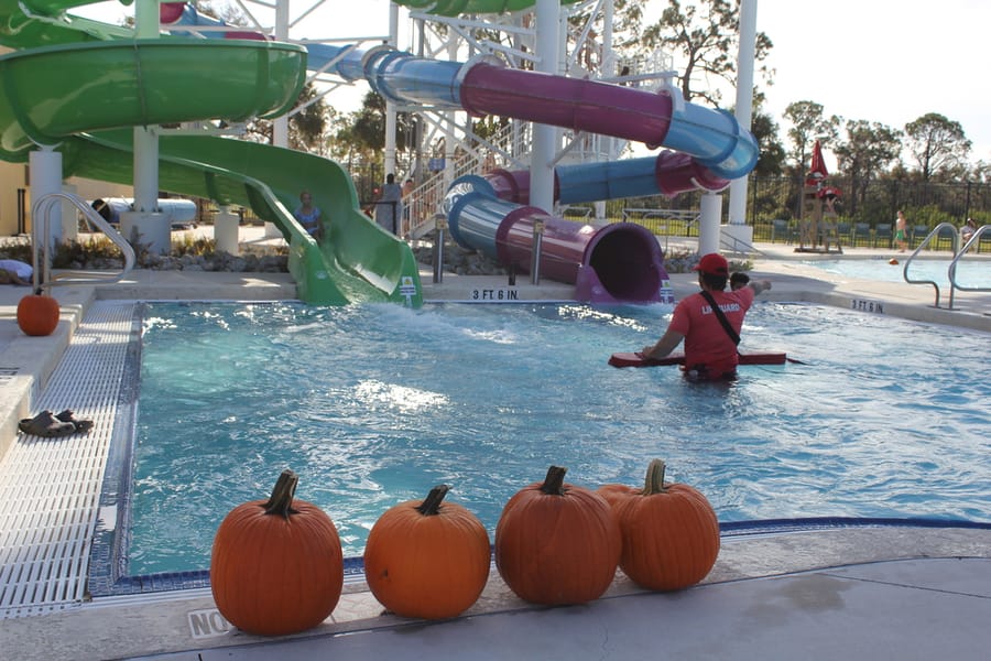 Pumpkin Plunge_101924 (101)