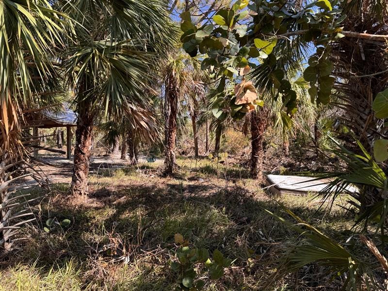 Lemon Bay Park - Hurricane Milton