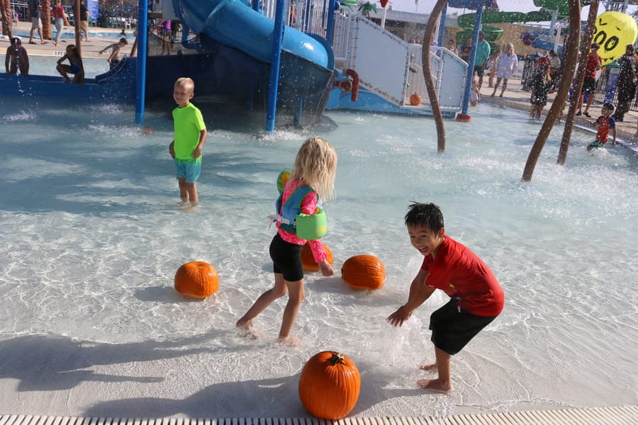 Pumpkin_Plunge_KL_101924 (164)