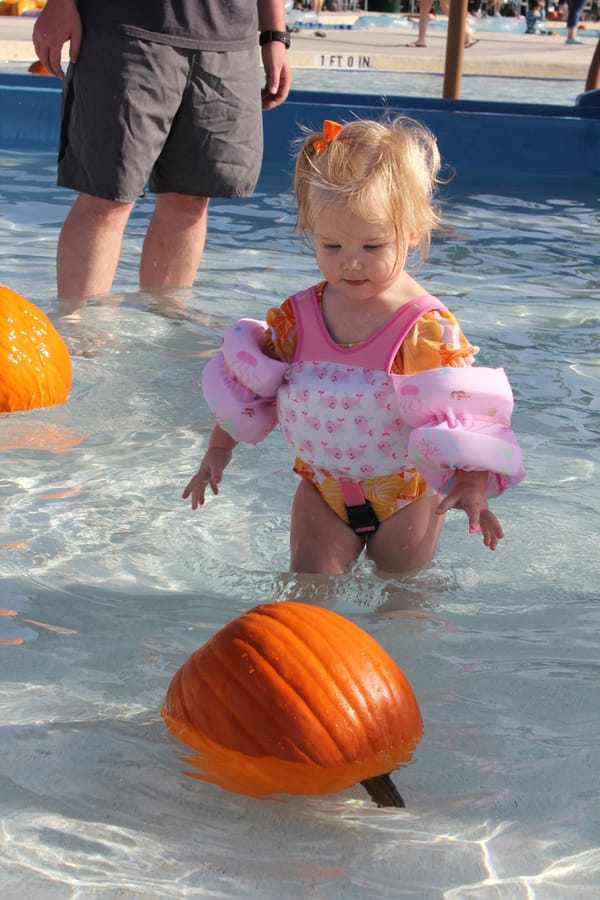 Pumpkin Plunge_101924 (91)