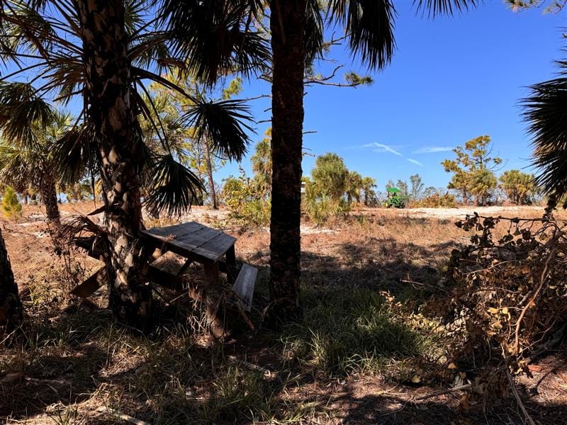 Lemon Bay Park - Hurricane Milton