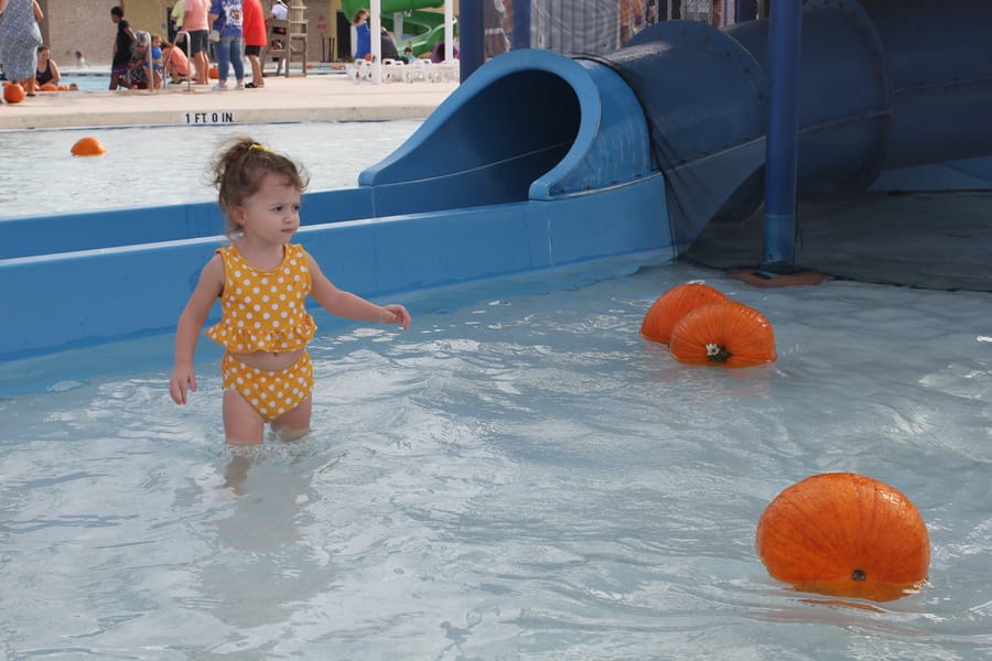 Pumpkin Plunge_101924 (38)