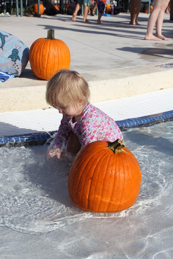 Pumpkin Plunge_101924 (86)