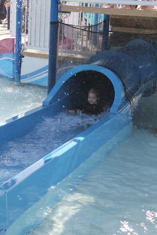 Pumpkin Plunge_101924 (115)