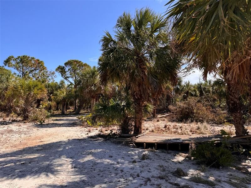 Lemon Bay Park - Hurricane Milton