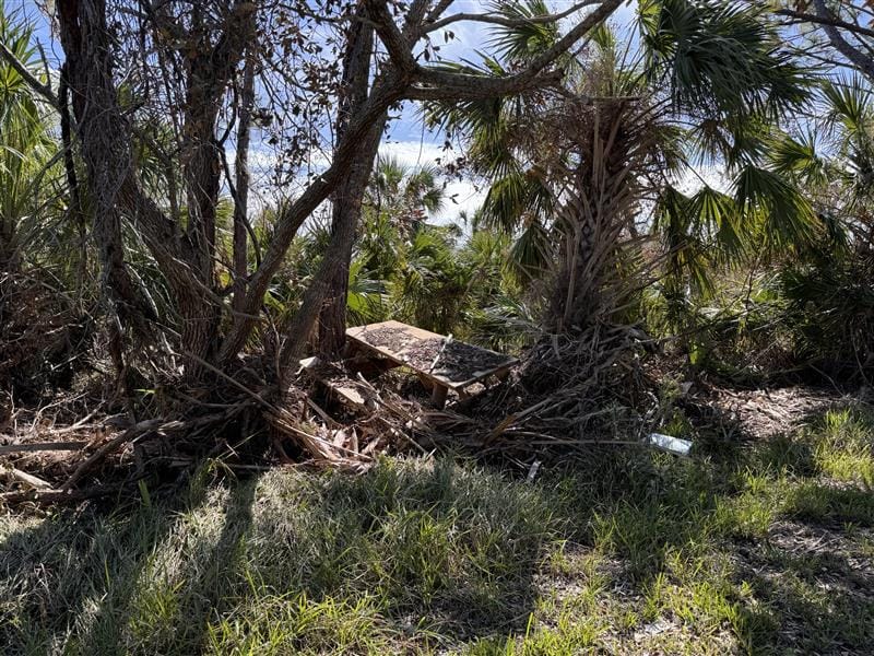 Lemon Bay Park - Hurricane Milton