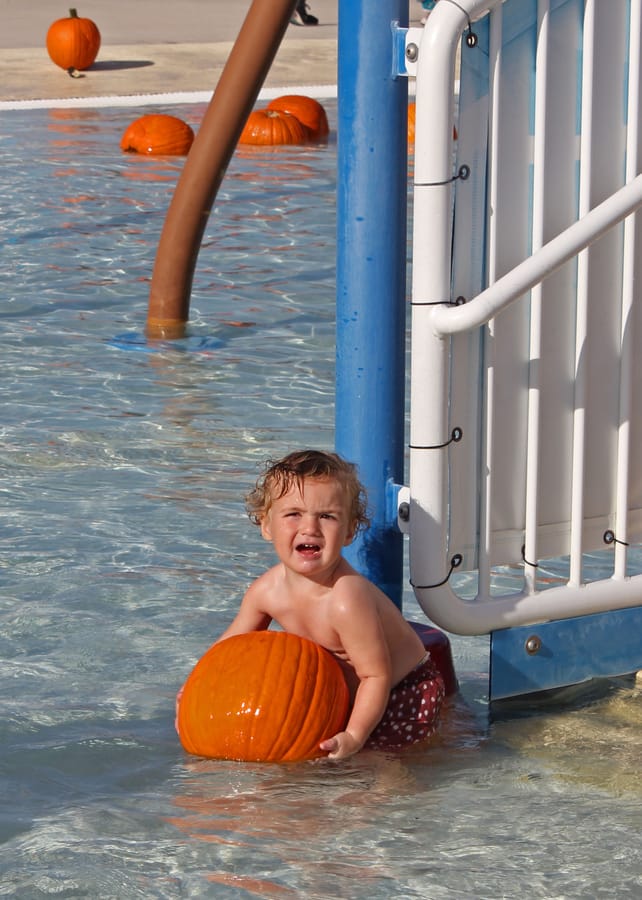 Pumpkin Plunge_101924 (81)