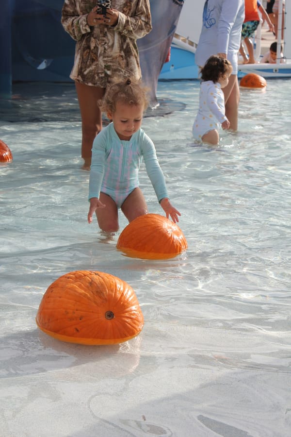 Pumpkin Plunge_101924 (60)