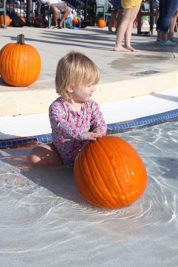 Pumpkin Plunge_101924 (87)