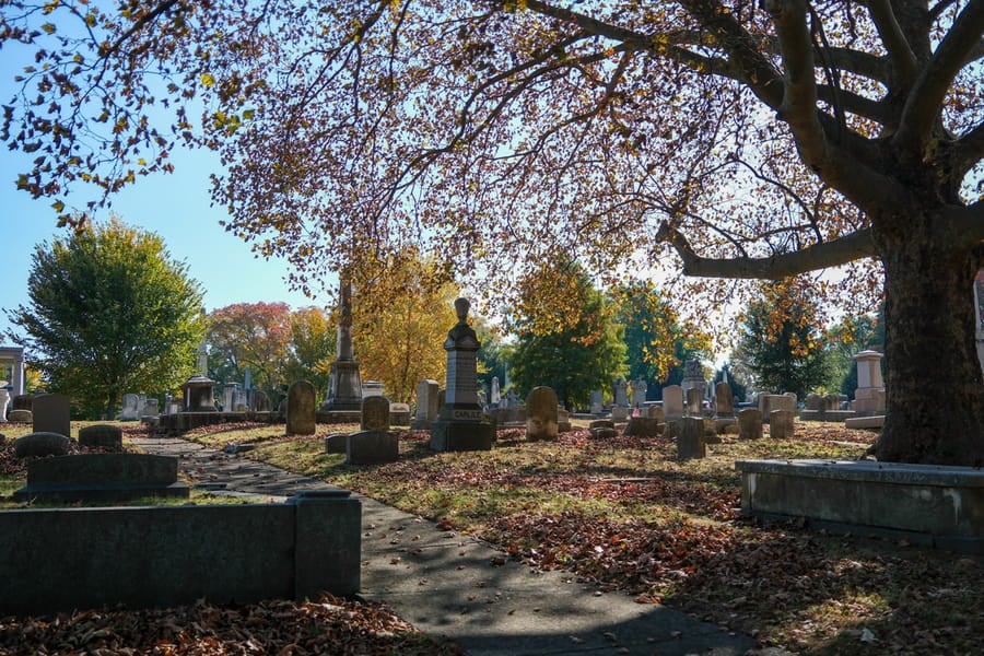 Laurel Hill Cemetery