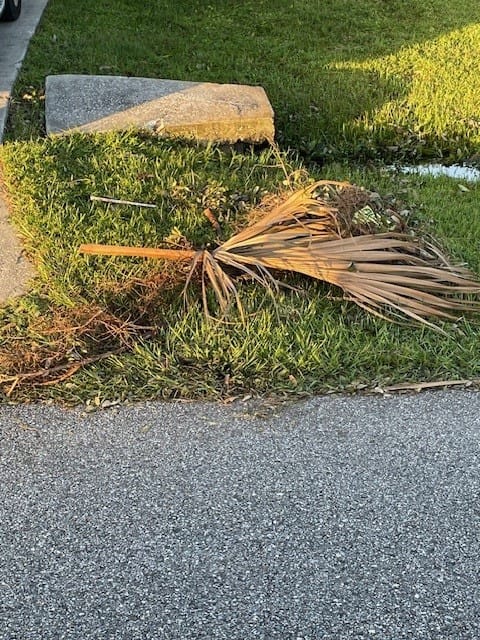Yard Waste Don't 4