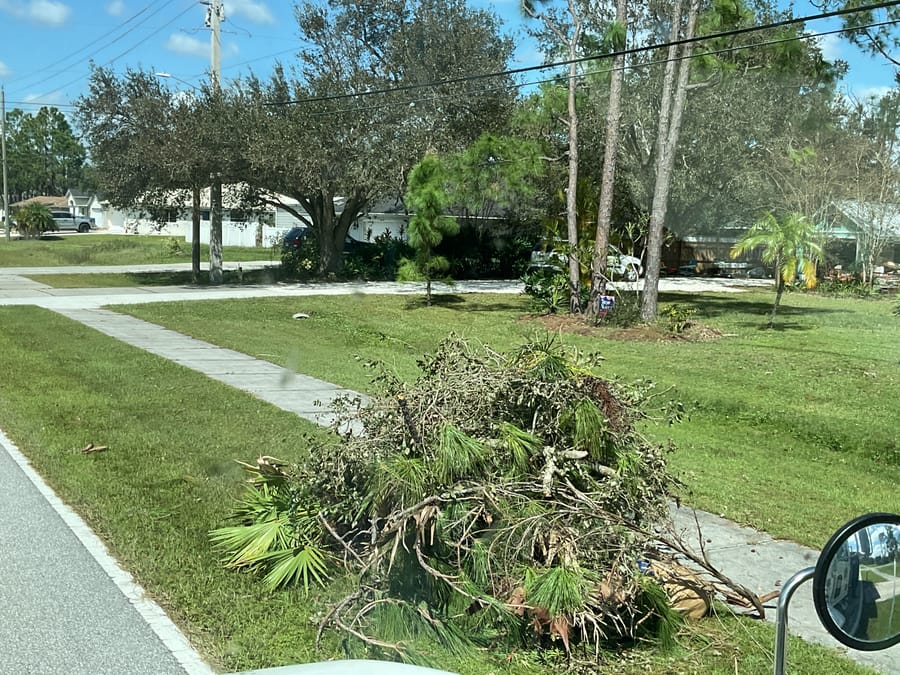 4cy bulk yard waste