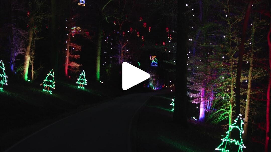 Tanglewood Festival of Lights 20241116 Visit WS