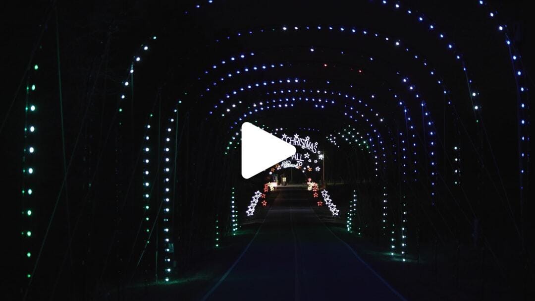 Tanglewood Festival of Lights 20241116 Visit WS