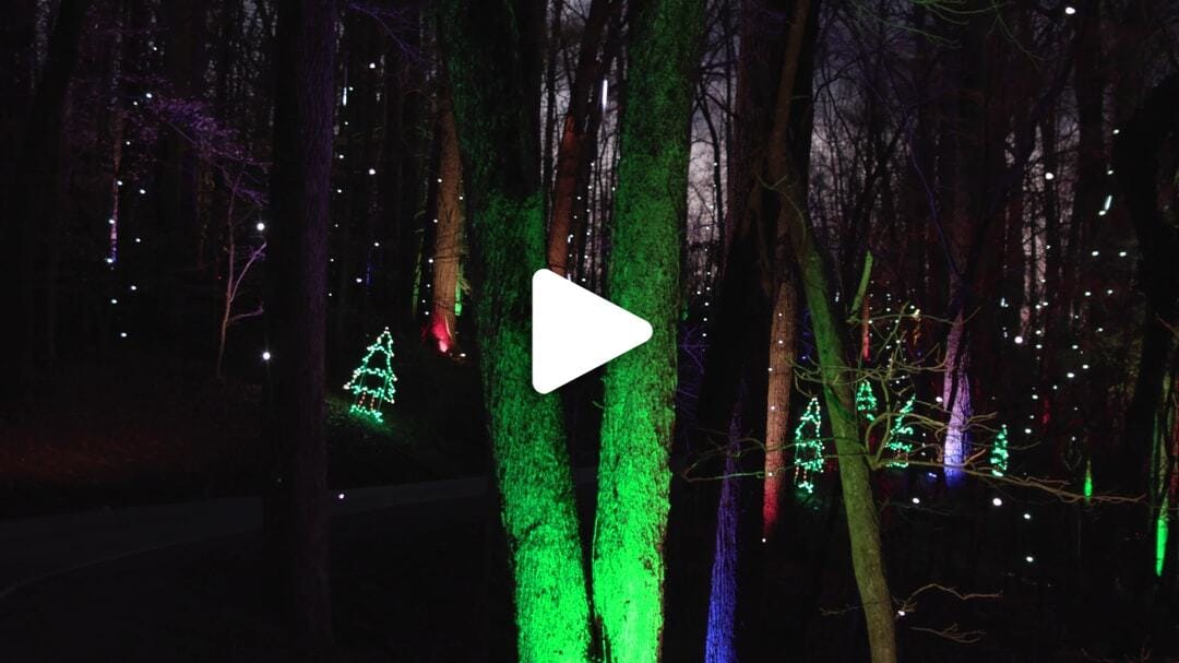 Tanglewood Festival of Lights 20241116 Visit WS