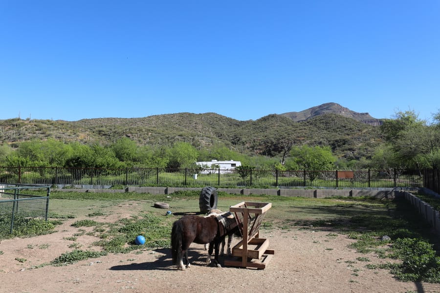 Winkleman - Aravaipa Orchard_credit Arizona Office of Tourism_04-24 (87)