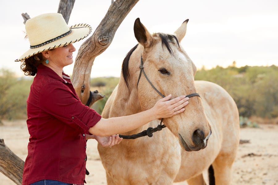 Tucson - Miraval - Equine - courtesy of Miraval Arizona_02-17