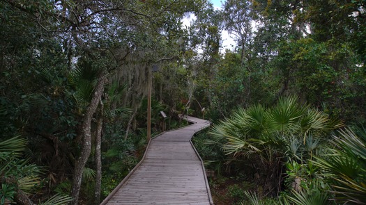 Outdoors at Atlantic Center for the Arts (16)