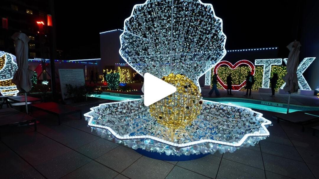 Marriott-Texas_Winter_Lights_2024_9