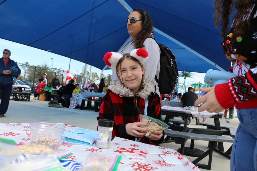 Swim-with-Santa_20241221 (329)