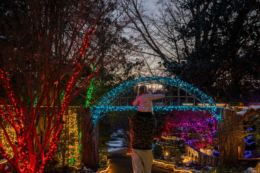 Morris Arboretum Holiday Garden Railway