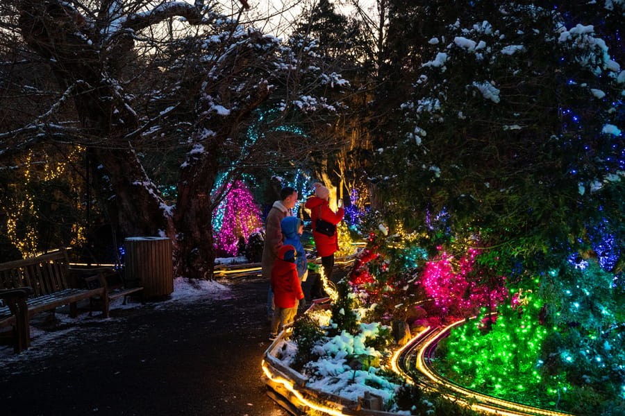 Morris Arboretum Holiday Garden Railway