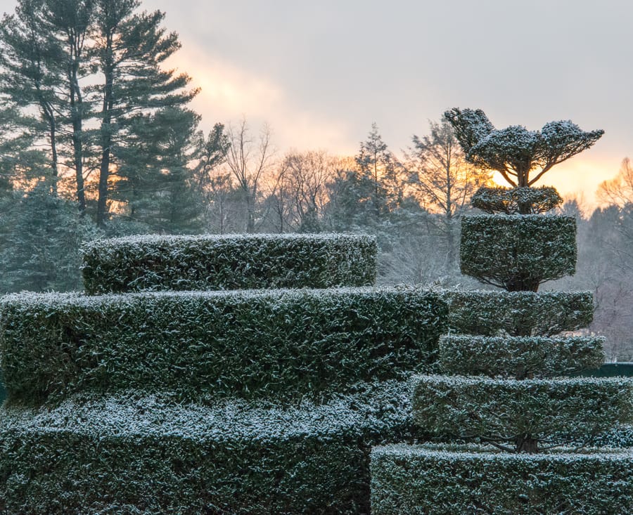 Winter Wonder at Longwood Gardens