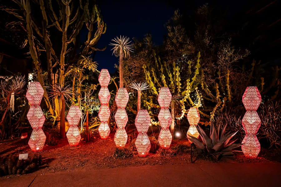 Phoenix - Desert Botanical Gardens Light Bloom_credit An Pham_01-25(9)