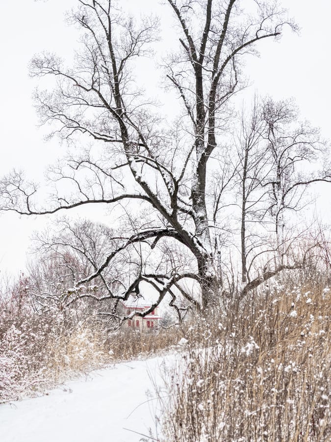 Winter Wonder at Longwood Gardens