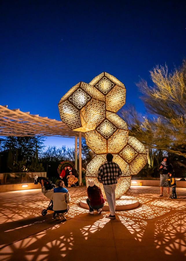 Phoenix - Desert Botanical Gardens Light Bloom_credit An Pham_01-25(6)