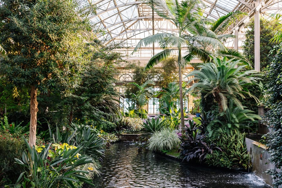 Winter Wonder at Longwood Gardens